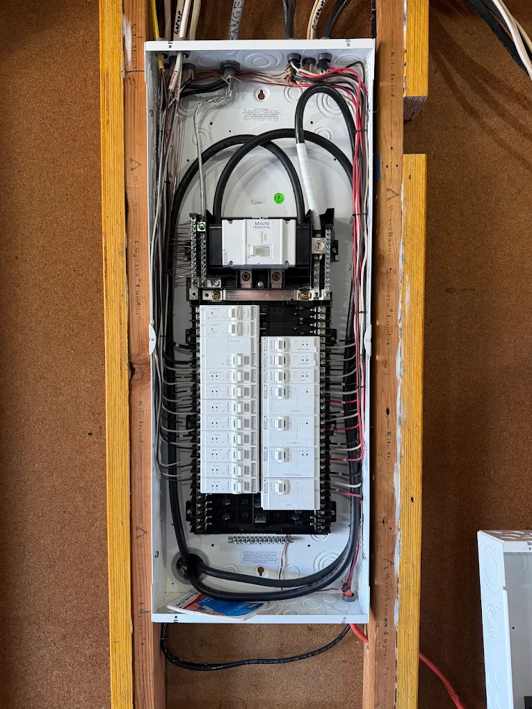 Electrical panel with numerous wires